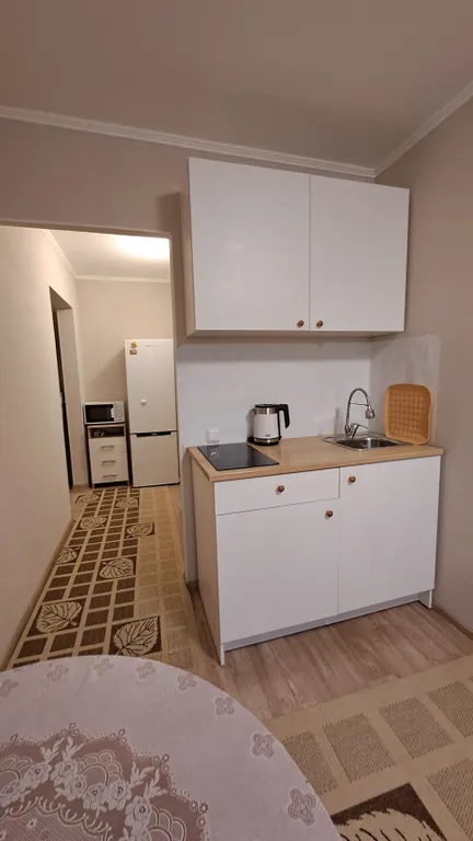 Уютная студия в Ново-Патрушево