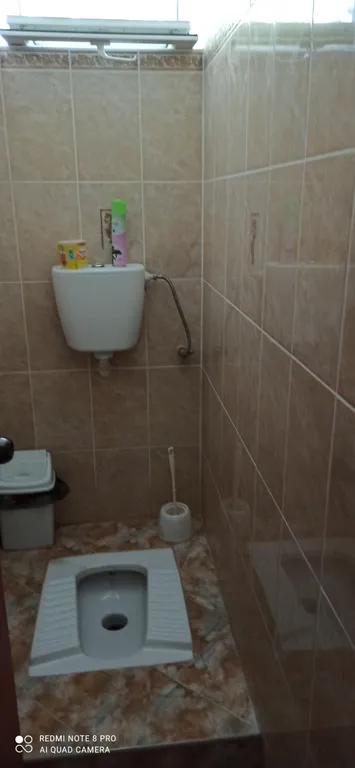 Сосновый бор