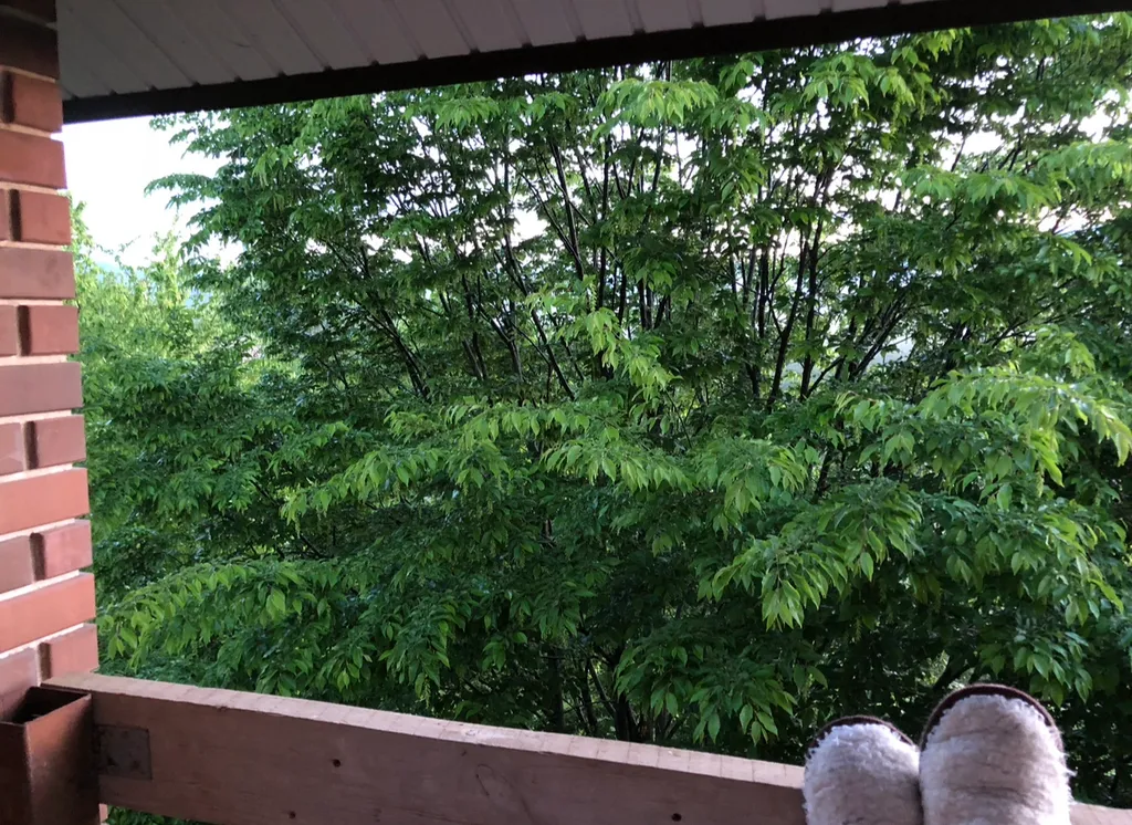 Уютный дом с баней, чаном и видом на горы