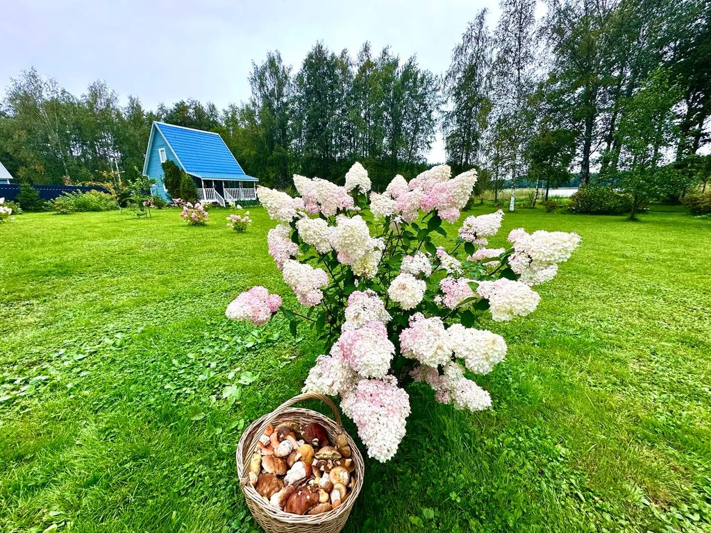 Дом на берегу озера