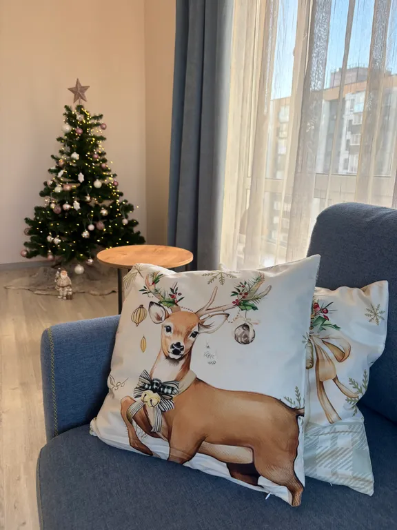 Видовая квартира на Венской