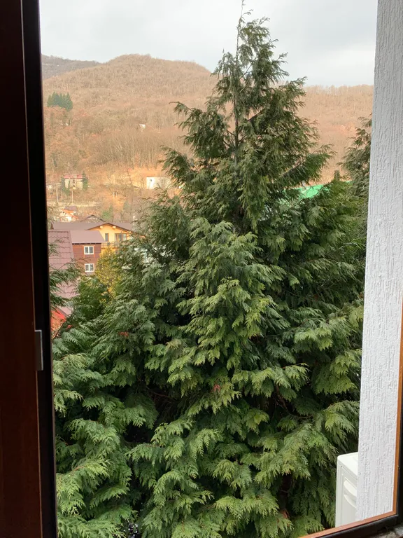 Квартира с видом на горы