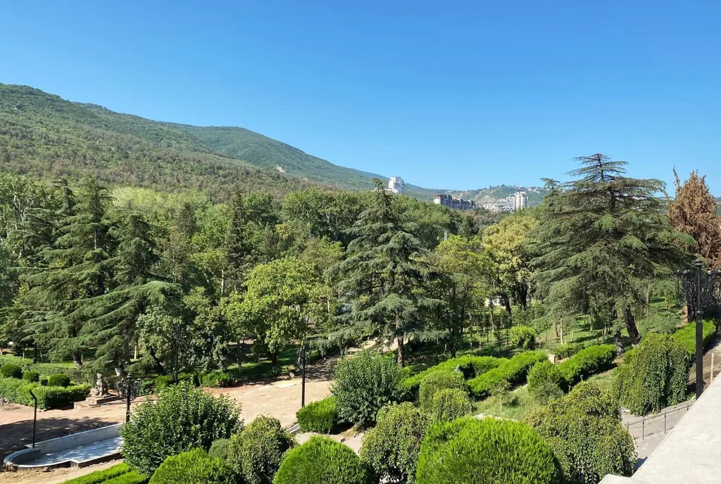 Дом, милый дом в центре города, Район Ваке