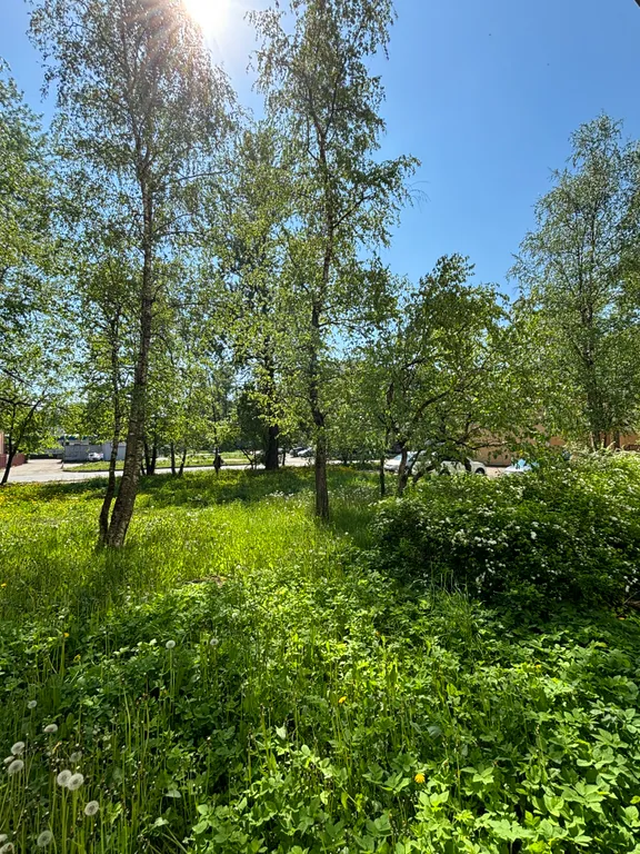 2-комнатная квартира в центре города