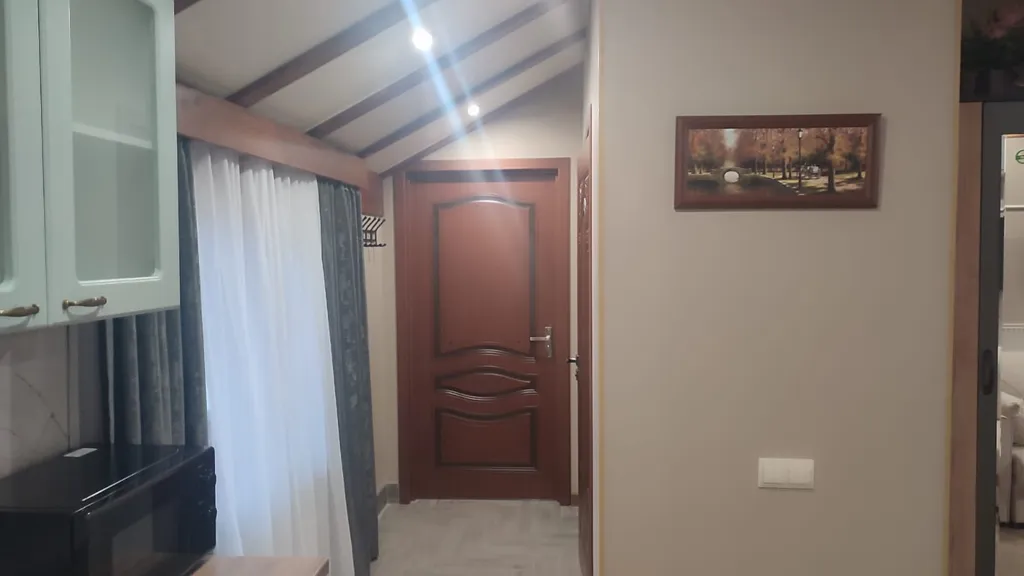 ВИП-апартменты с кухонной зоной