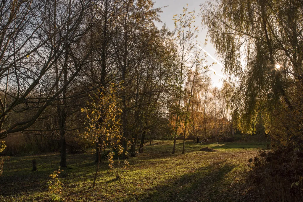 Брестский гостевой дом danfam