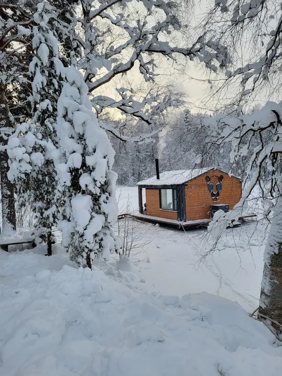 Дом на берегу реки, заснеженный лес, хаусбот