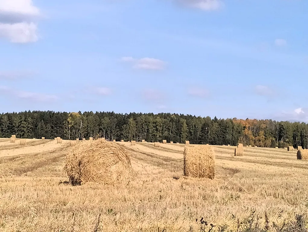 Дом с баней и чаном Просторы Грин