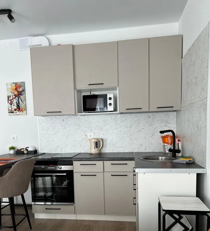 Лучшая студия ЖК Кудровский парк