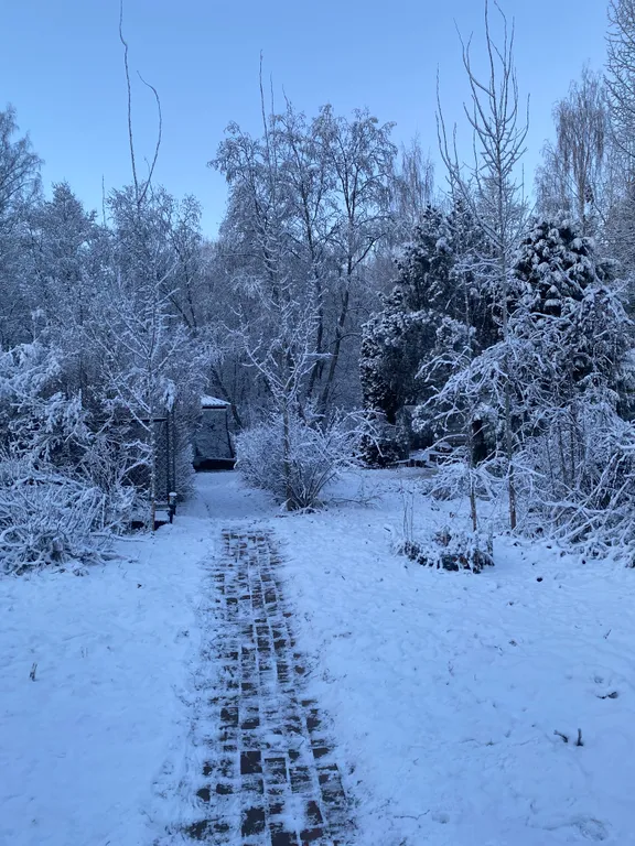 Профессорская дача