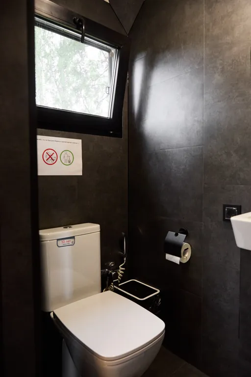 Белый медведь