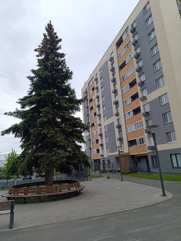 Квартира Уютная квартира в экологически чистом районе города — Тюмень