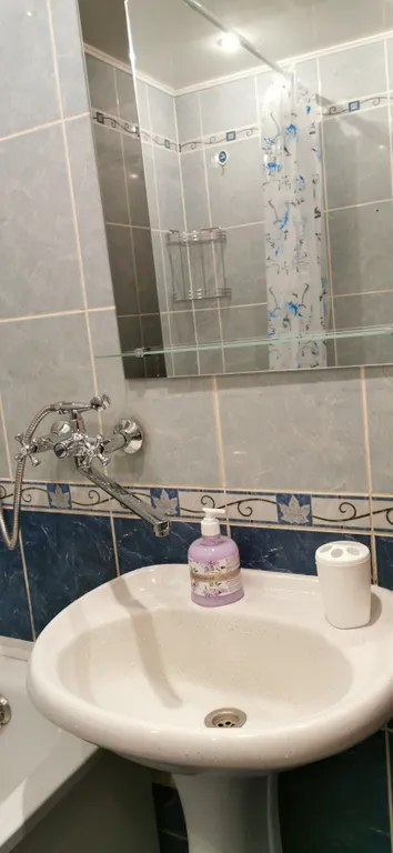 Большая двушка у Ледового дворца