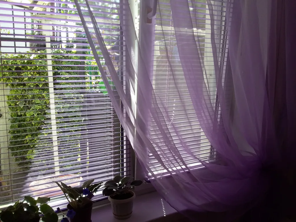 Комната у моря