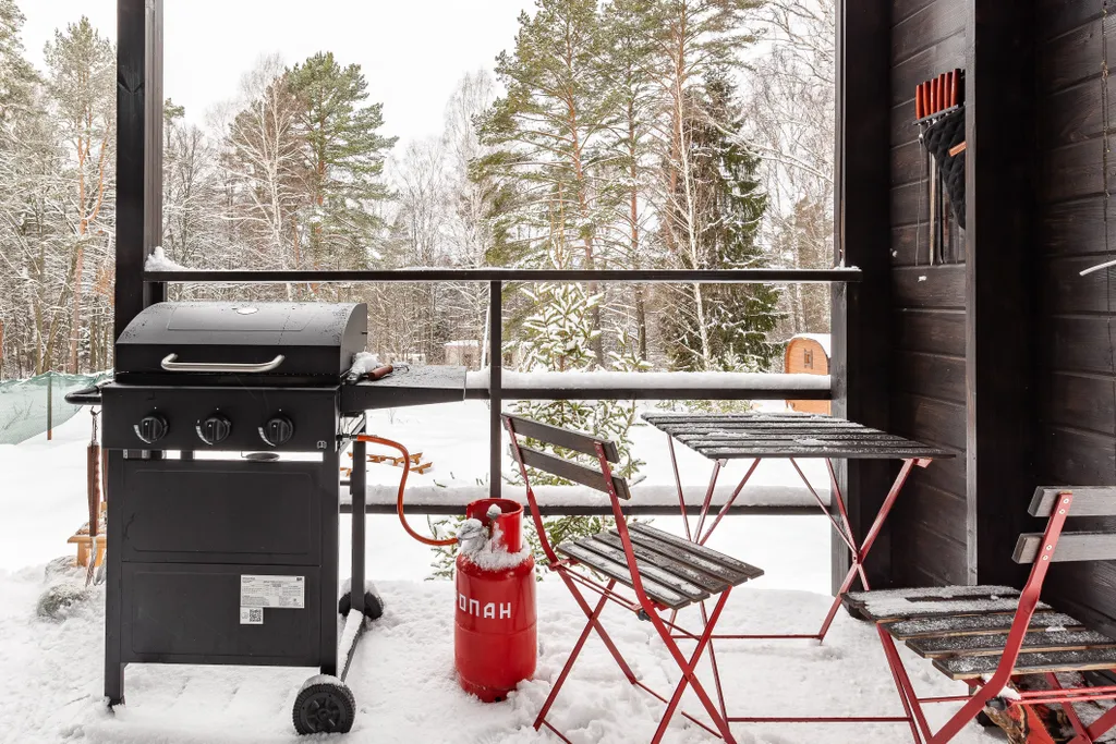 Современный дом с баней в лесу