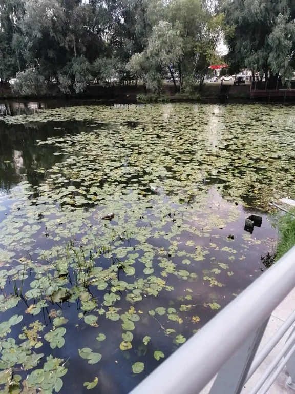 Квартира Квартира River Studio с видом на воду рядом с метро Нагатинский затон — Москва