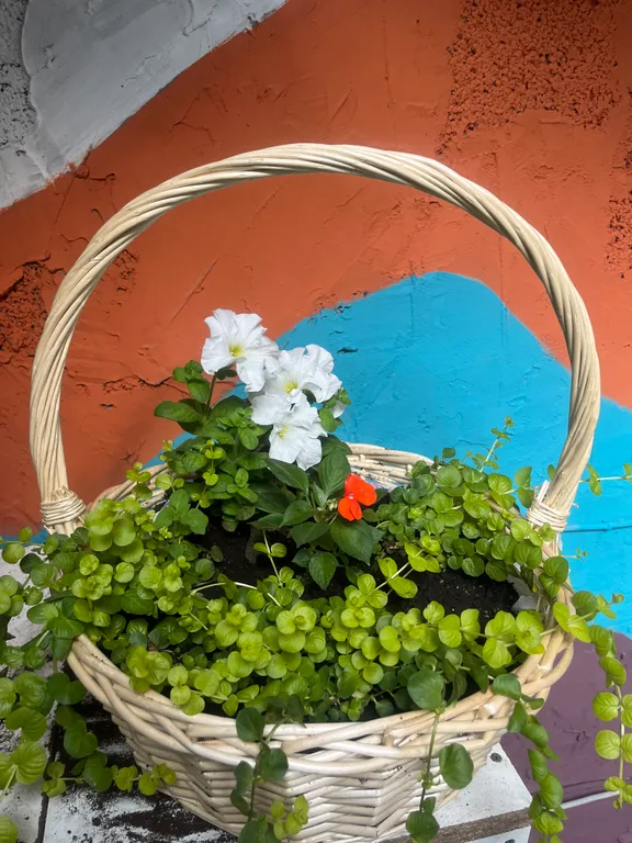 Дом в горах с видом на реку