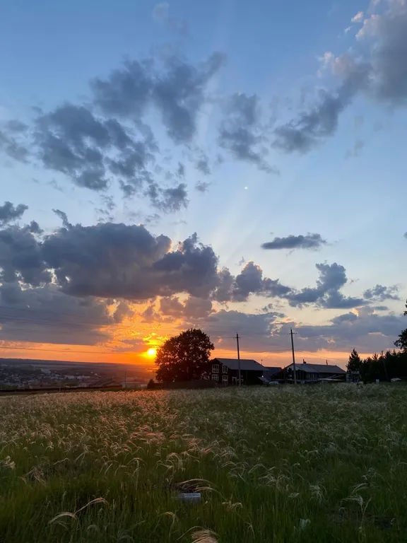 Большой дом в лесу