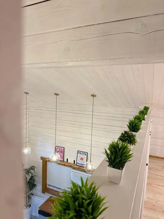 Белый дом и сосны