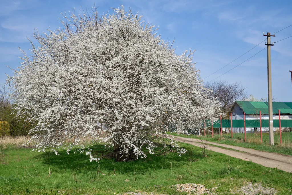 Загородный дом Добрый