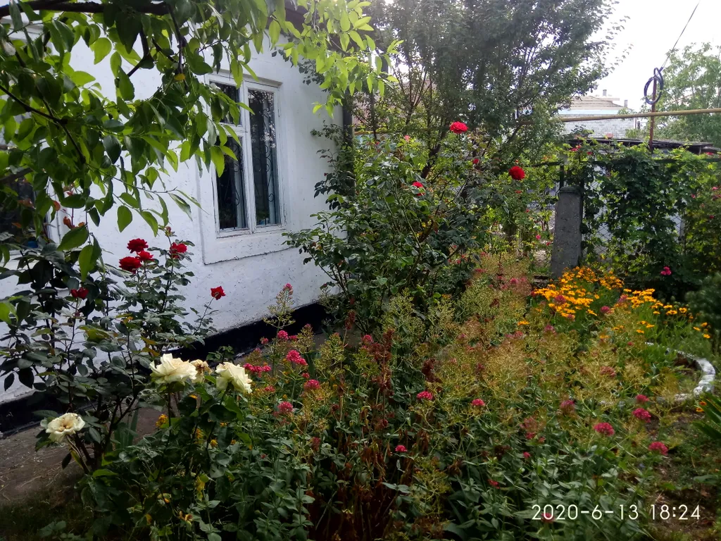 Комната с видом на осенний двор и сад