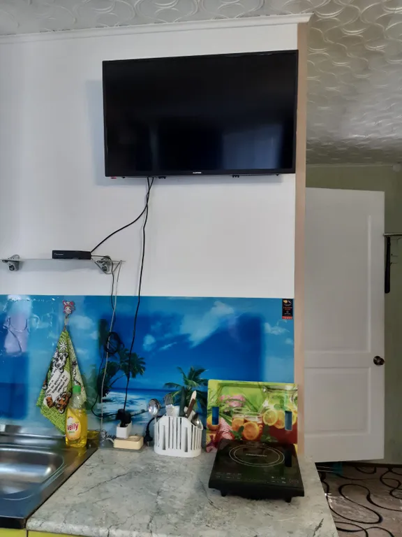 Студия в мини-гостинице с с/у, душем и кухней в номере для 1-3чел.