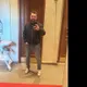 зайцев