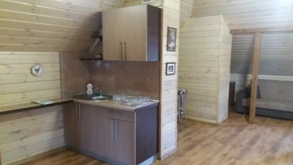 Городской коттедж с сауной и бильярдом в Гродно