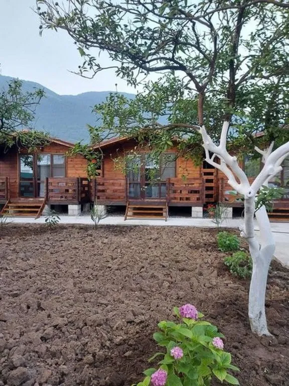 Коттедж 1-комнатный Дом — Гагра