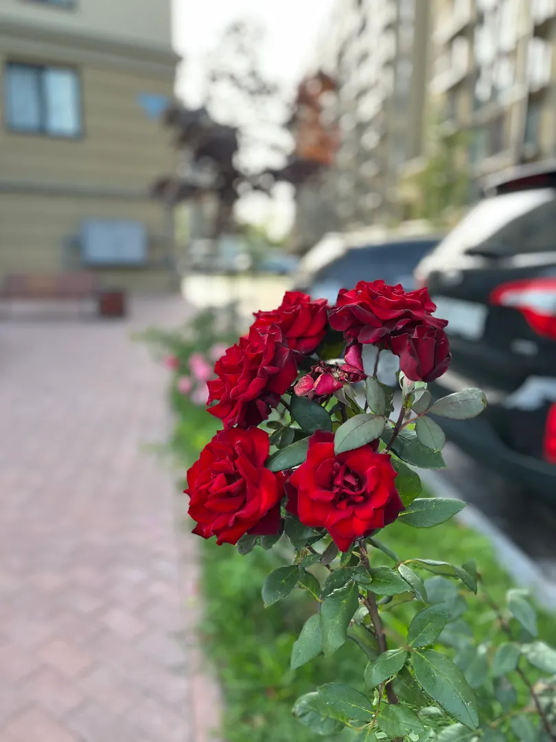 Фото
