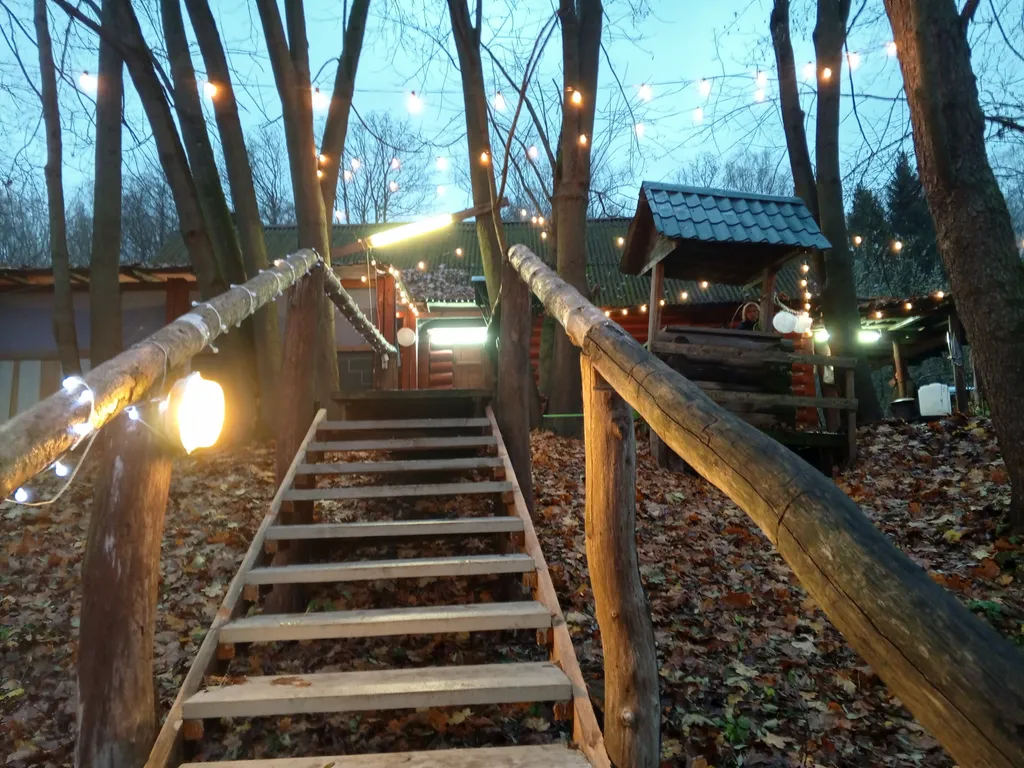 Новый год с русской баней на дровах