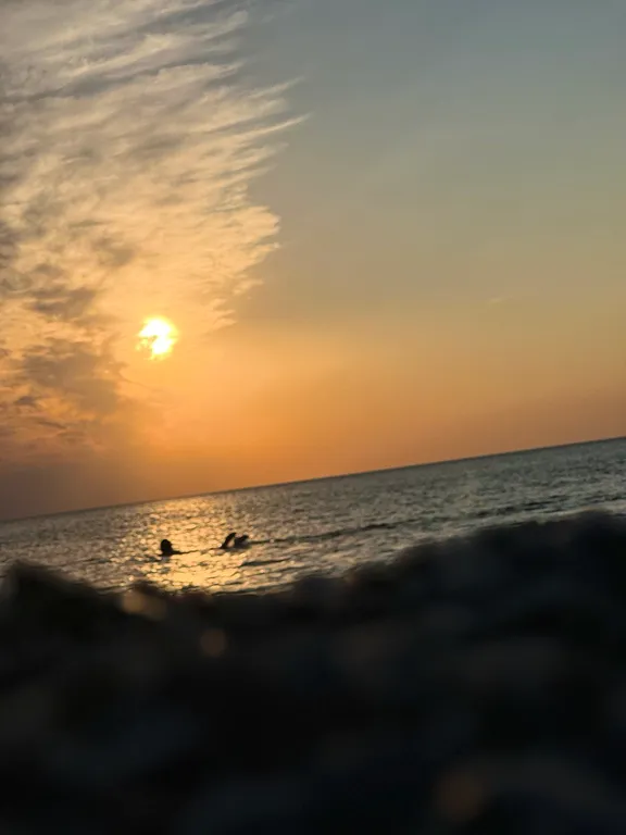 Модуль дача-5