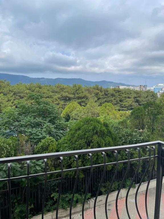 Квартира Апартаменты с видом на сосновую рощу и балконом 2 этаж — Геленджик