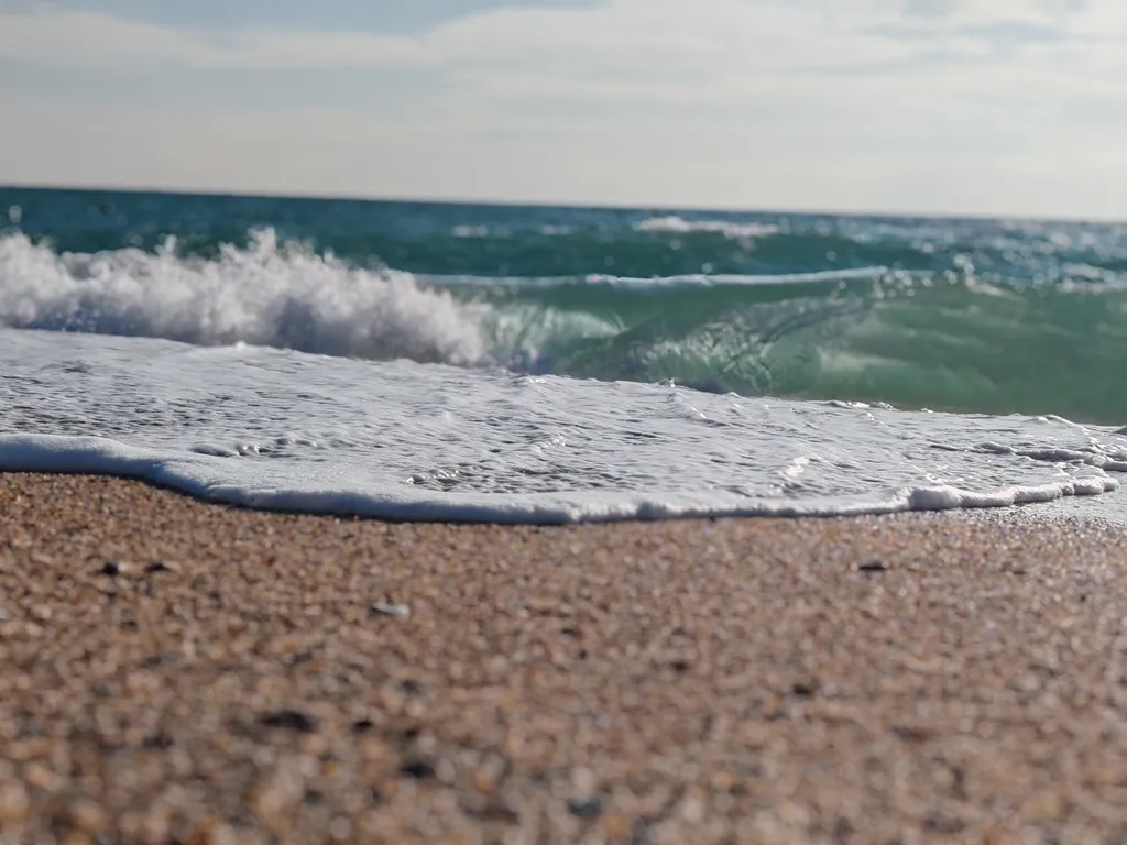 Домик у моря для путешественников с собаками