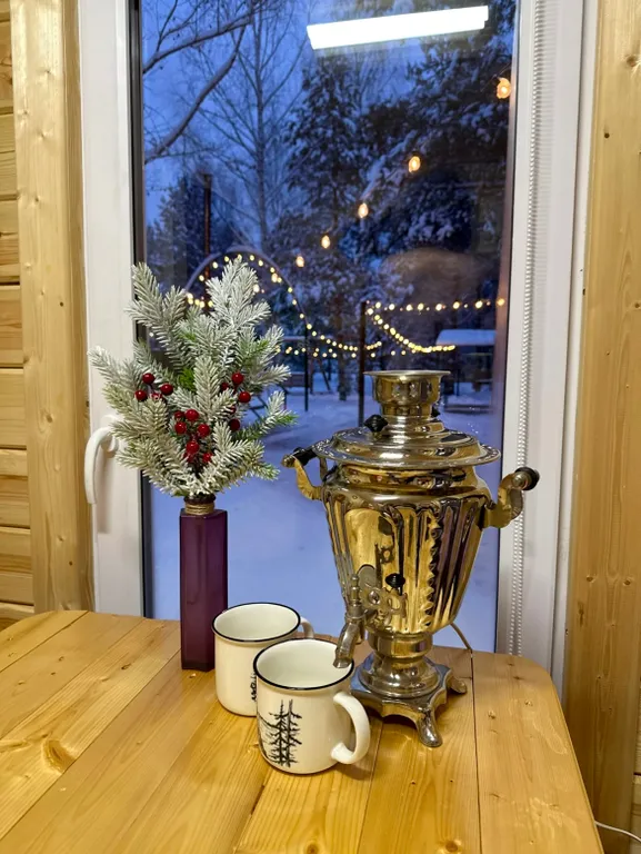 Уникальный купольный дом среди хвойного леса