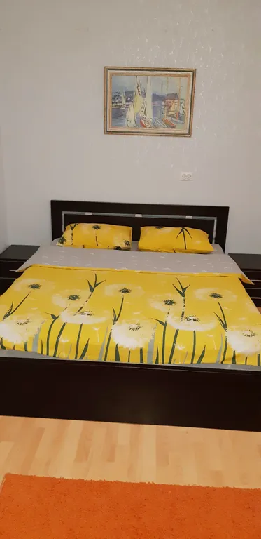 Квартира 1-комнатная Квартира — Пушкин