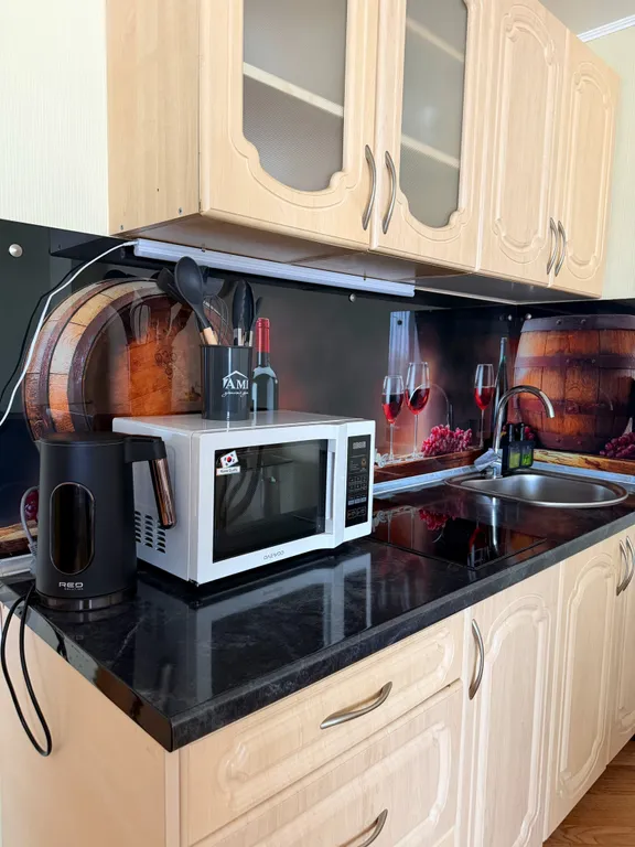 Двухкомнатная квартира с шикарным видом возле резиденции Президента