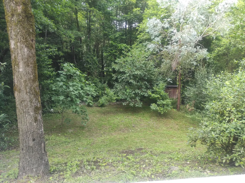 Уютный дом в тихом месте