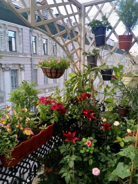 Квартира Комната рядом с московским вокзалом — Санкт-Петербург