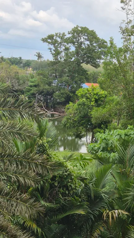 Max comfort near beach in phuket сс320