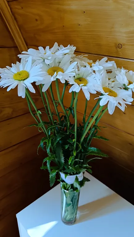 Большой деревянный треугольный дом (афрейм) с видом на бештау