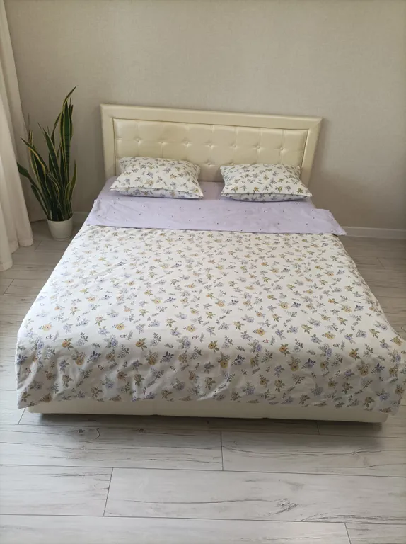 Просторная квартира за Лентой