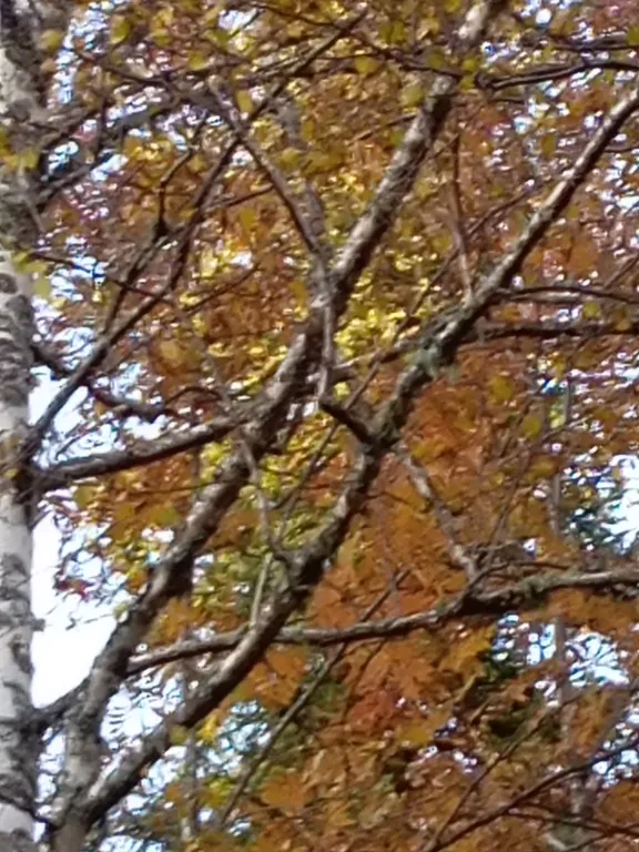 Гостевой дом премиум класса