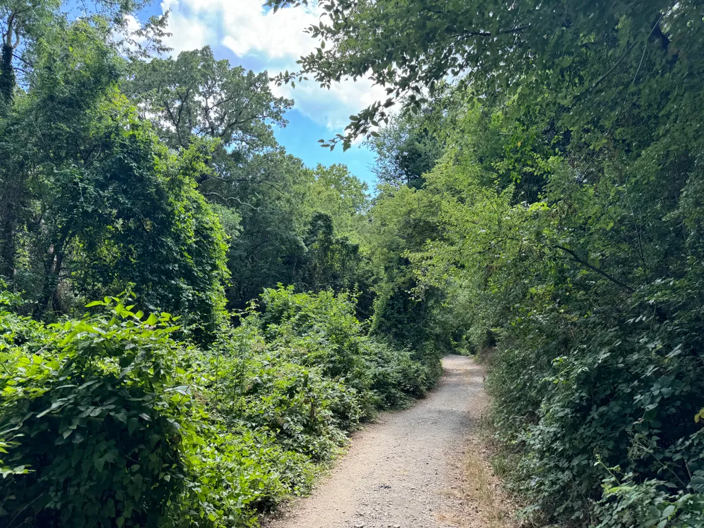 Просторные и комфортные апартаменты на море в дали от шума в Бетте