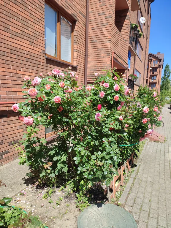 Квартира в городе Пионерском в 100 метрах от городского пляжа