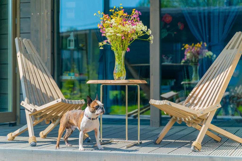 Дом с баней