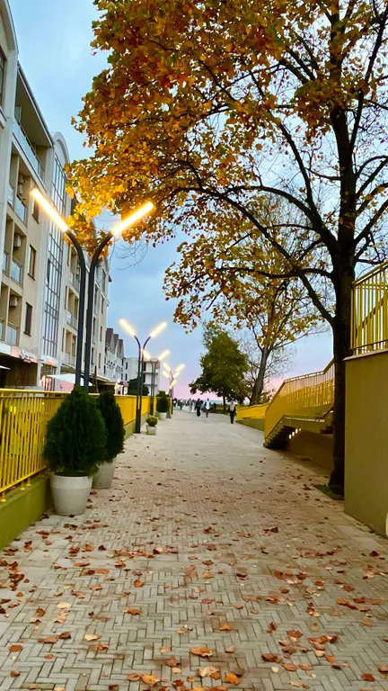 Квартира Уютная квартира в центре — Сириус