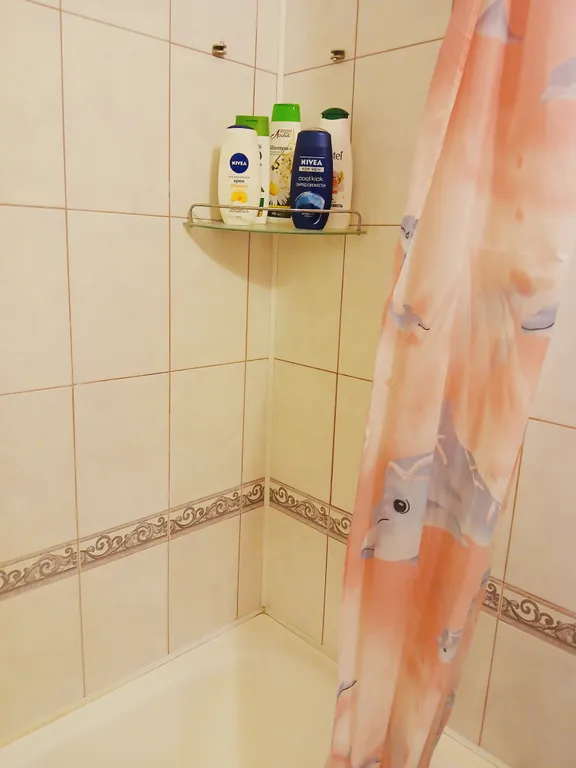 Сдам квартиру в центре города