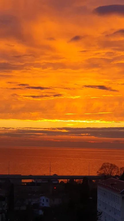 Хоста у моря