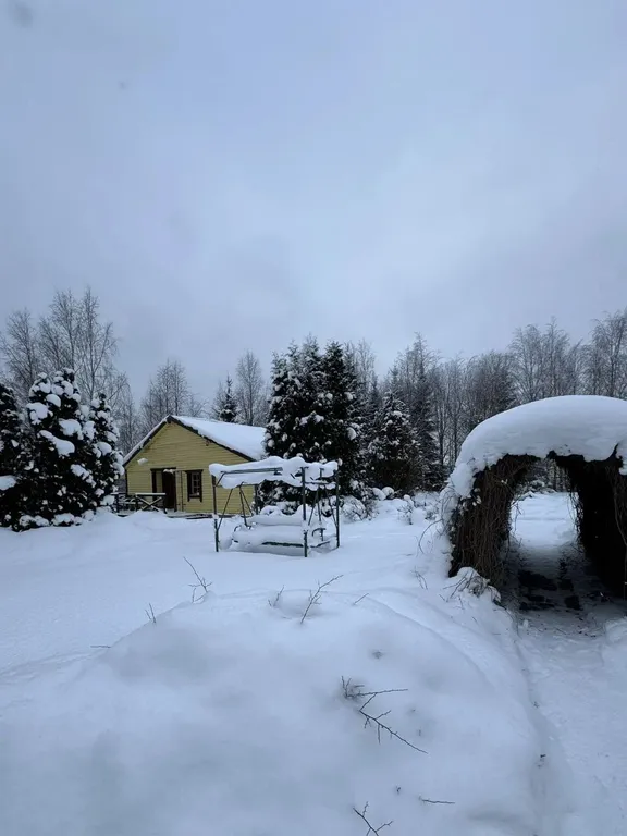 Коттедж Уютный домик — аренда посуточно в Великий Новгород